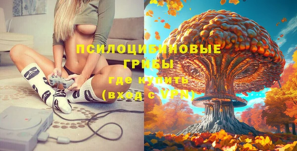 ПСИЛОЦИБИНОВЫЕ ГРИБЫ Карпинск