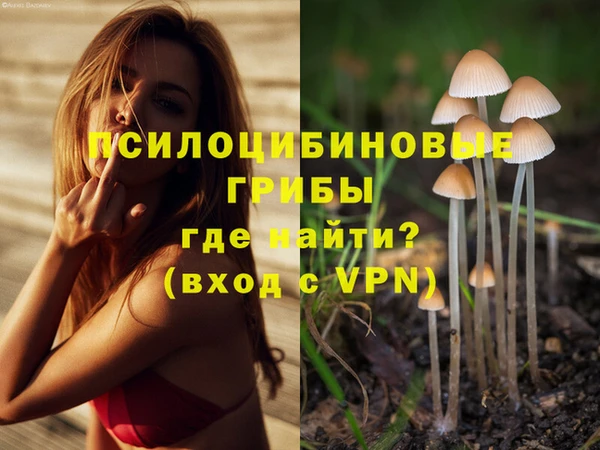 ПСИЛОЦИБИНОВЫЕ ГРИБЫ Карпинск