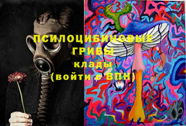 ПСИЛОЦИБИНОВЫЕ ГРИБЫ Карпинск