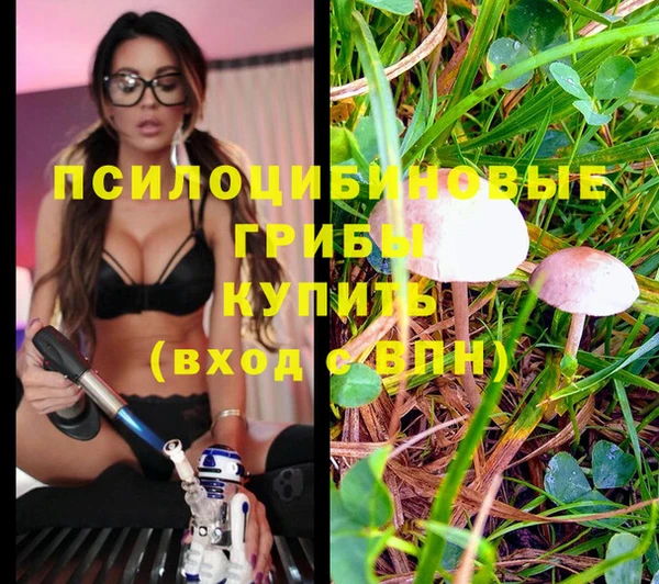 ПСИЛОЦИБИНОВЫЕ ГРИБЫ Карпинск