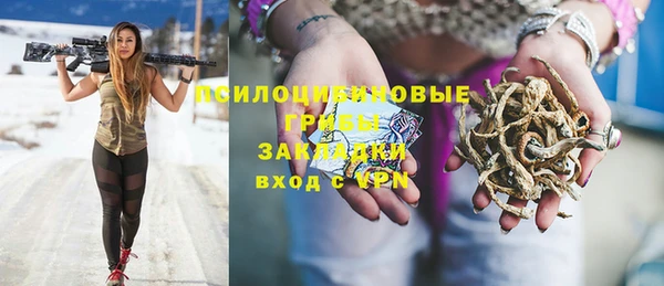 ПСИЛОЦИБИНОВЫЕ ГРИБЫ Карпинск